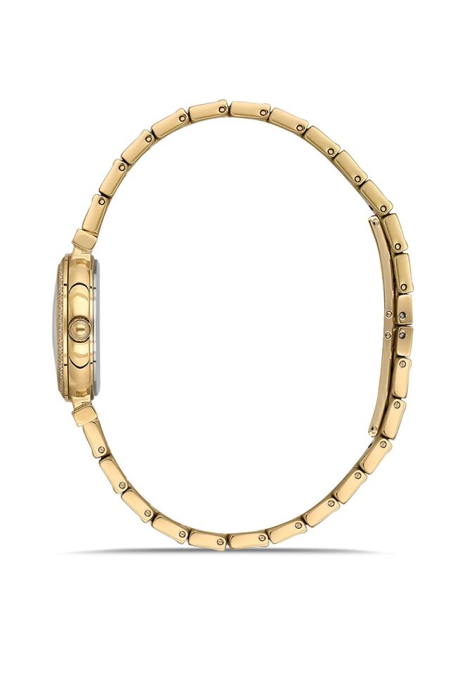 Momentus Women's Shiny SS396G-15SG