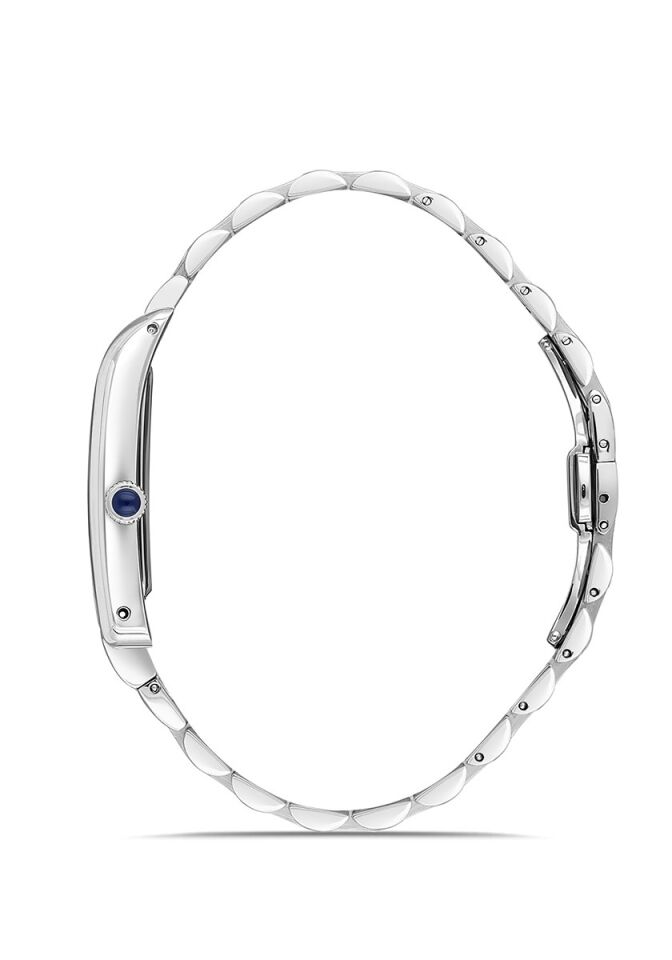 Momentus Men's Classic Master CM365S-02SS