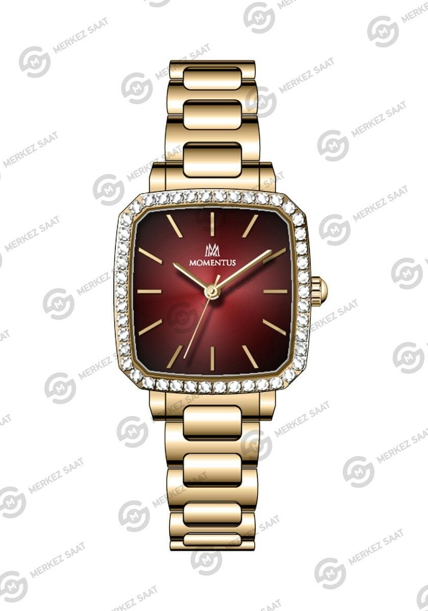 Momentus Women's Shiny SS398G-14SG