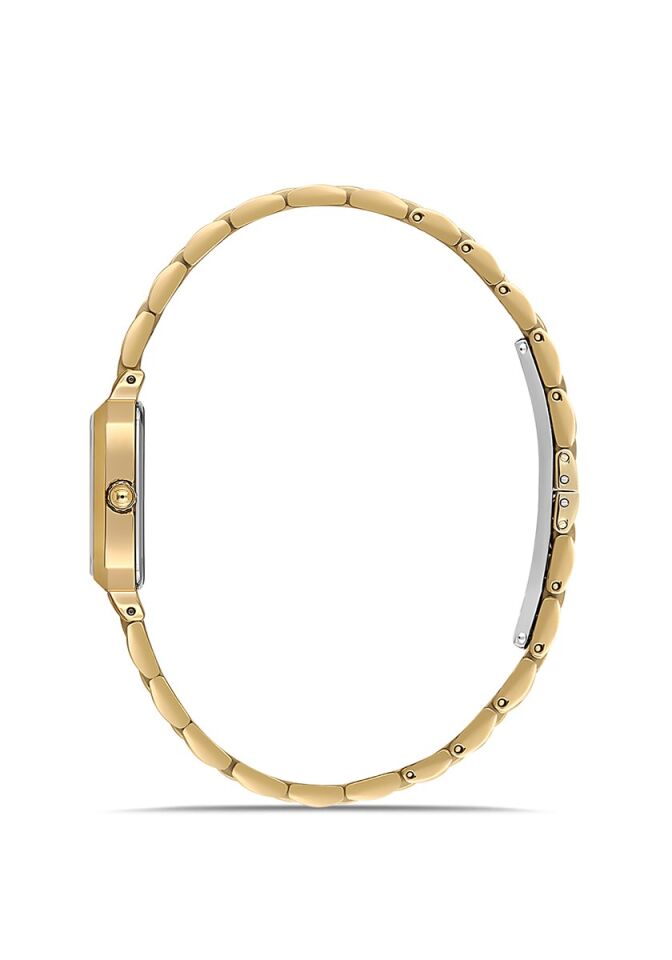 Momentus Women's Shiny SS398G-02SG