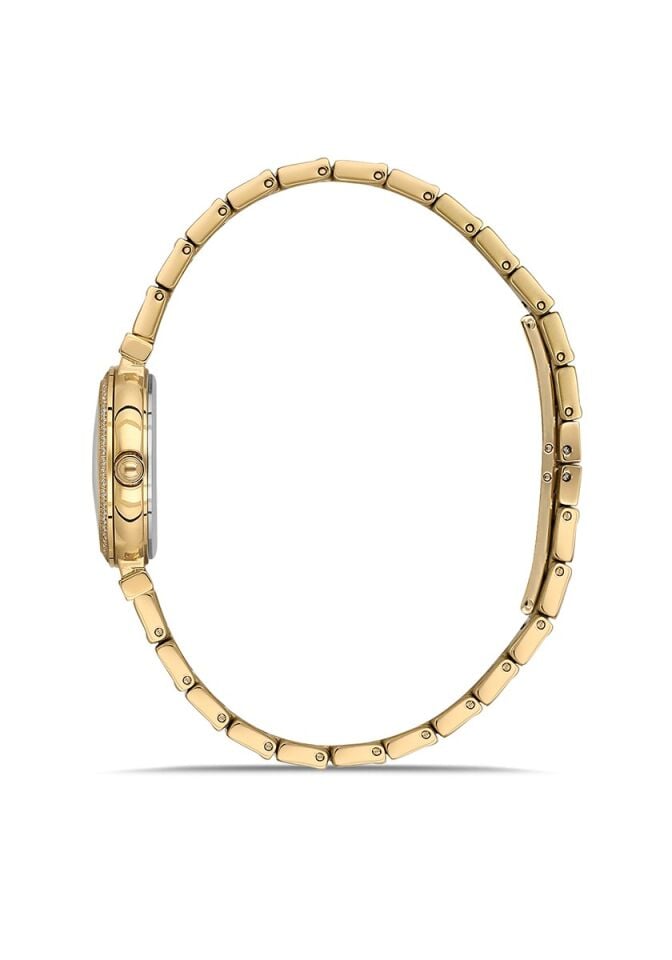 Momentus Women's Shiny SS396G-14SG