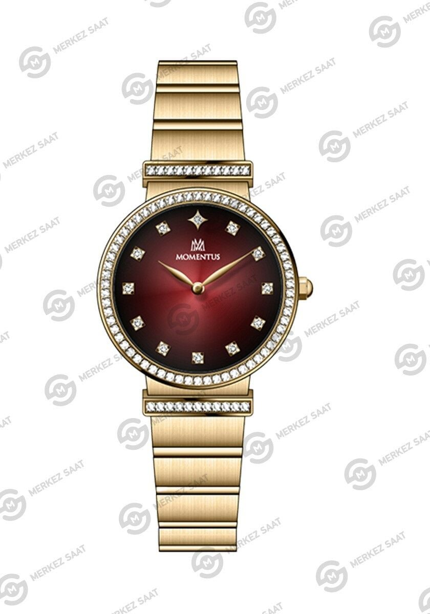 Momentus Women's Shiny SS396G-14SG