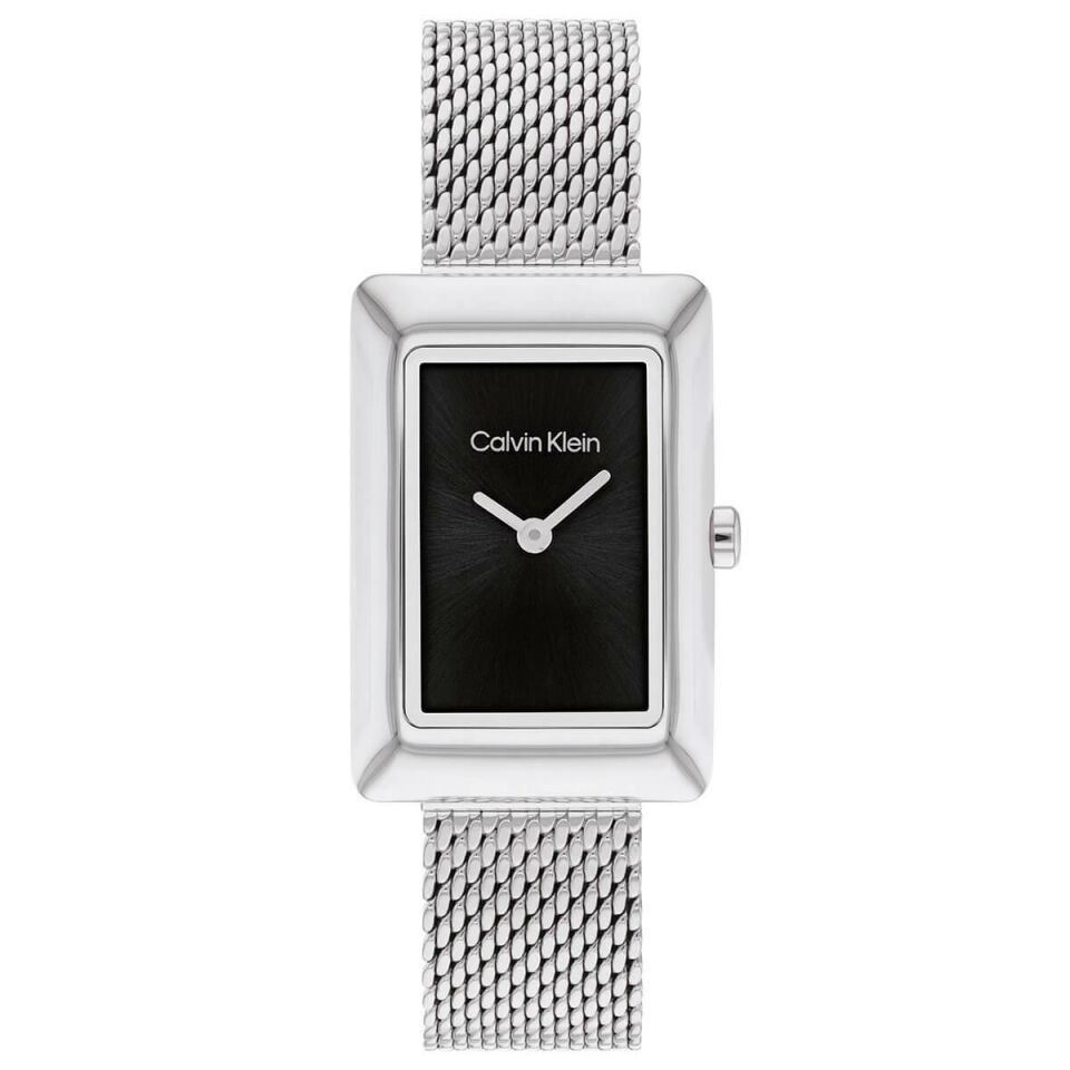 Calvin Klein CK25200399 Kadın Kol Saati