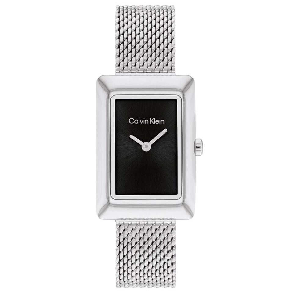 Calvin Klein CK25200399 Kadın Kol Saati