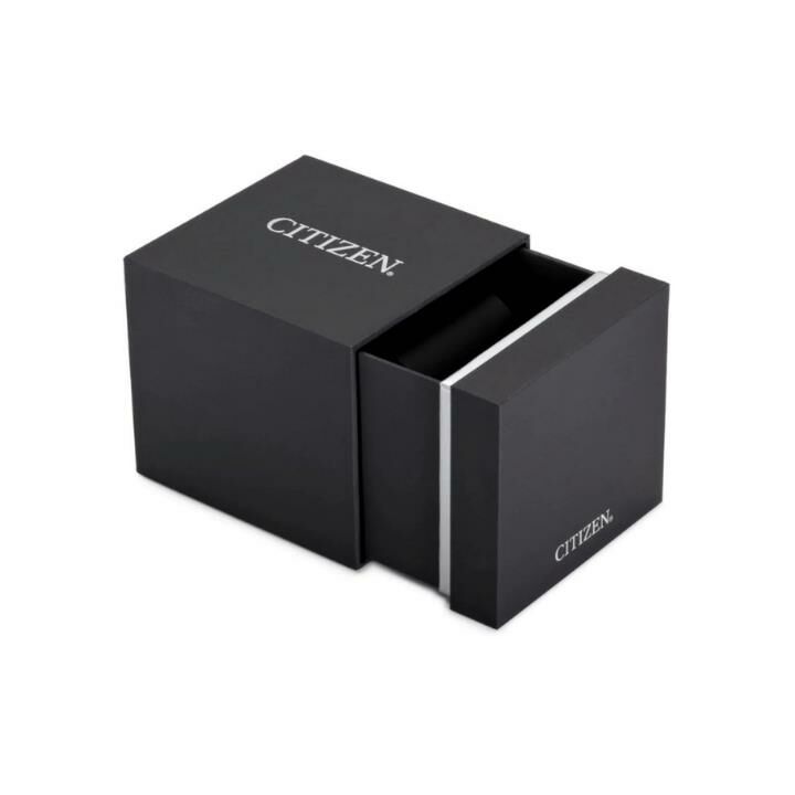 Cıtızen AT9030-55L Erkek Kol Saati