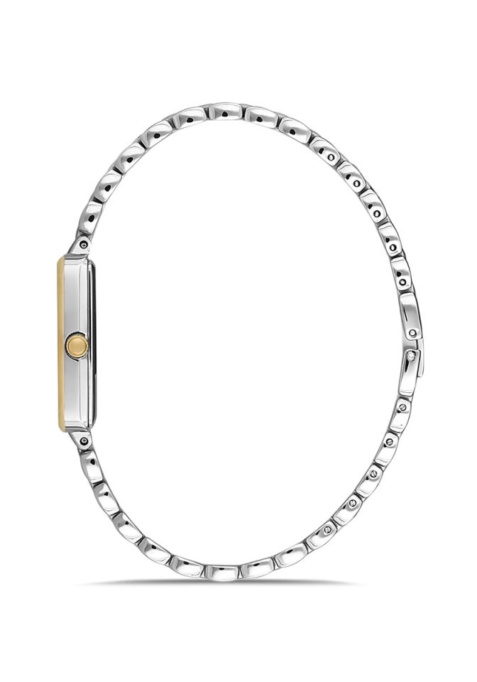 Momentus Women's Shiny SW273G-15TG