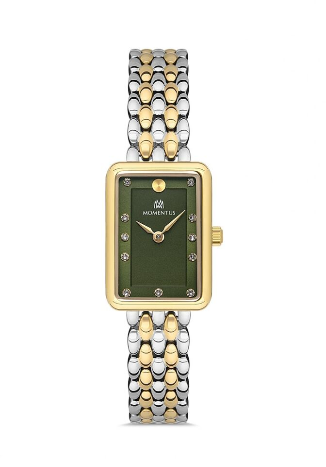 Momentus Women's Shiny SW273G-15TG