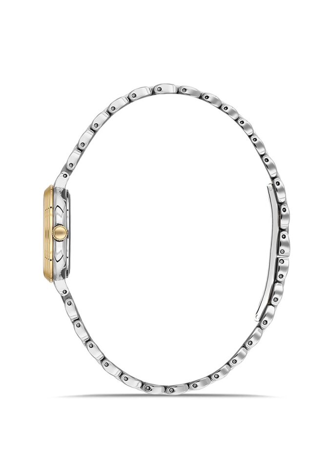 Momentus Women's Classy CW298T-09SG