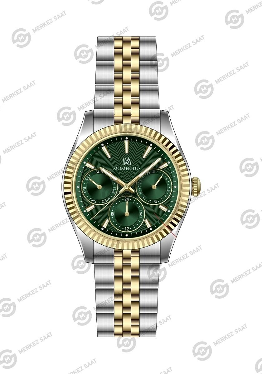 Momentus Women's Classy CW393T-15SG