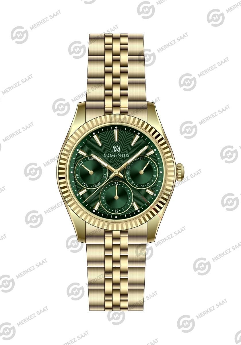 Momentus Women's Classy CW393G-15SG