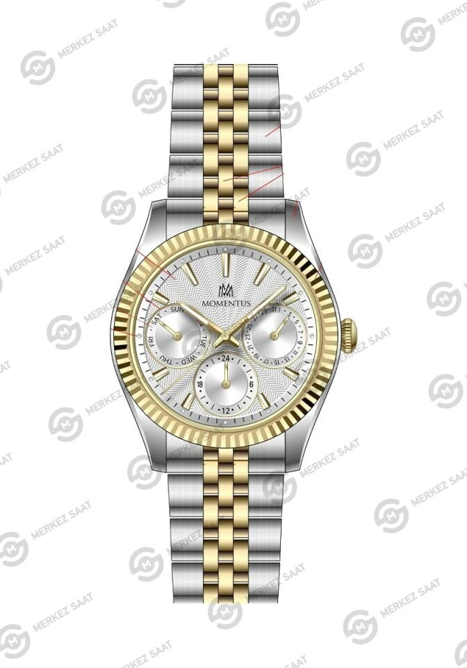 Momentus Women's Classy CW393T-02SG
