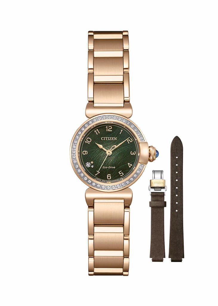 Cıtızen Em1123-62X