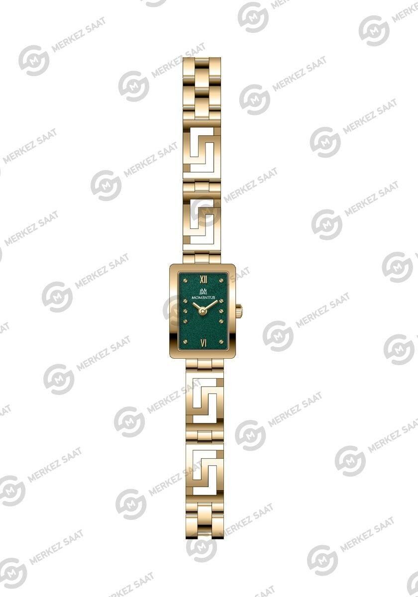 Momentus Women's Classystar CS372G-15SG