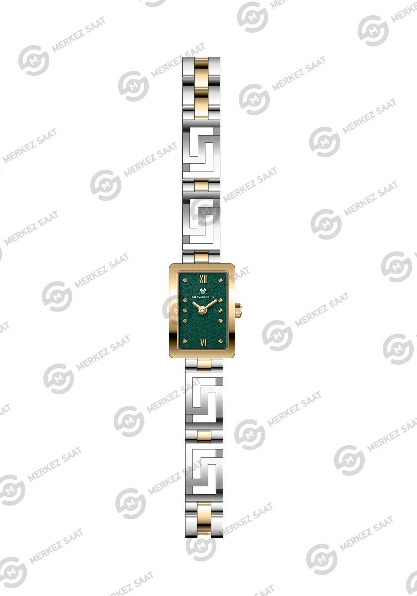 Momentus Women's Classystar CS372G-15TG